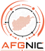 NIC Logo